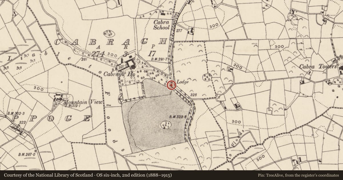 Ordnance Survey six-inch map, 2nd edition (1888–1915) covering the location of Lodge at Cabra House, Cabragh, Newry, Mourne and Down, with a pin at the register's coordinates