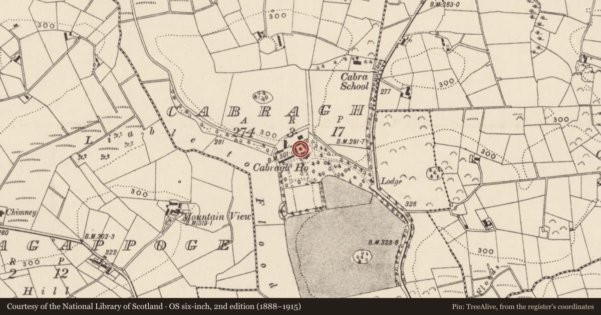 Ordnance Survey six-inch map, 2nd edition (1888–1915) covering the location of Outbuildings, Cabragh, Newry, Mourne and Down, with a pin at the register's coordinates