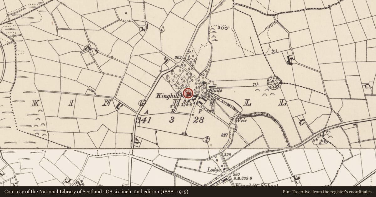 Ordnance Survey six-inch map, 2nd edition (1888–1915) covering the location of Kinghill, Newry, Mourne and Down, with a pin at the register's coordinates