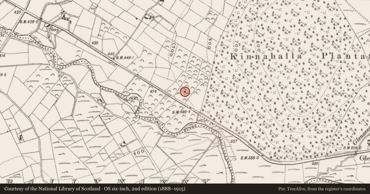 Ordnance Survey six-inch map, 2nd edition (1888–1915) covering the location of Former Kinnahalla Youth Hostel, Goward, Newry, Mourne and Down, with a pin at the register's coordinates