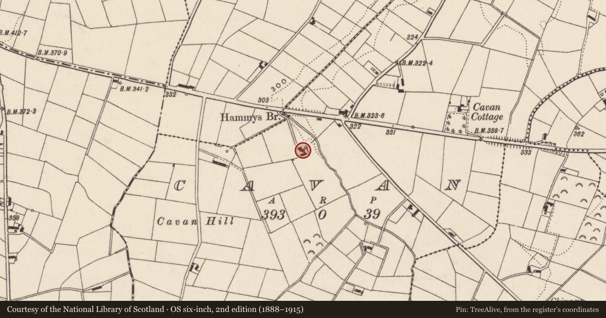 Ordnance Survey six-inch map, 2nd edition (1888–1915) covering the location of Riverside, Cavan, Newry, Mourne and Down, with a pin at the register's coordinates