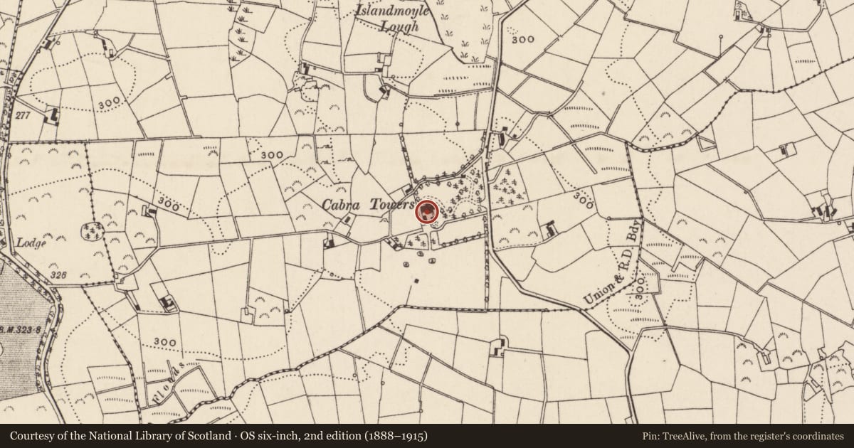 Ordnance Survey six-inch map, 2nd edition (1888–1915) covering the location of Cabra Towers, Newry, Mourne and Down, with a pin at the register's coordinates