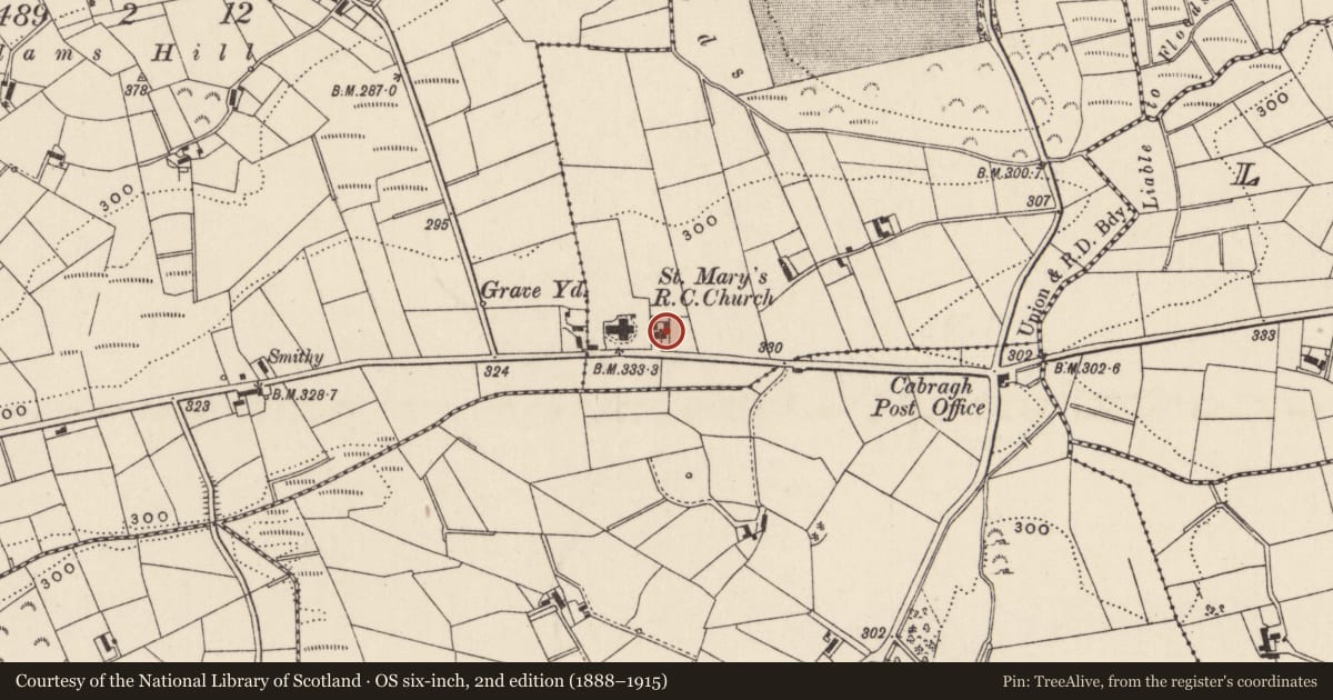 Ordnance Survey six-inch map, 2nd edition (1888–1915) covering the location of 130 Castlewellan Road, Cabra, Newry, Mourne and Down, with a pin at the register's coordinates
