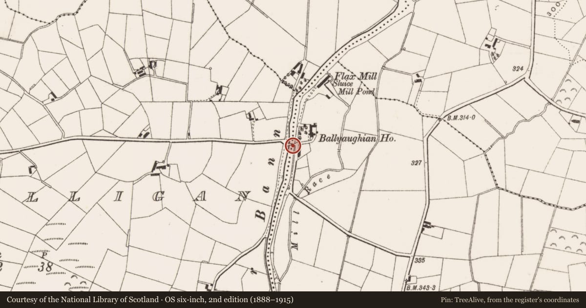 Ordnance Survey six-inch map, 2nd edition (1888–1915) covering the location of Bridge over River Bann, Ballyaughian/Lisnamulligan, Newry, Mourne and Down, with a pin at the register's coordinates
