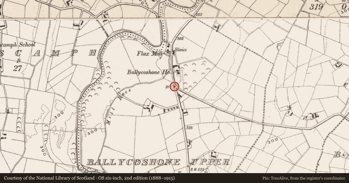 Ordnance Survey six-inch map, 2nd edition (1888–1915) covering the location of Water Works Structures, Ballycoshone Upper, Newry, Mourne and Down, with a pin at the register's coordinates