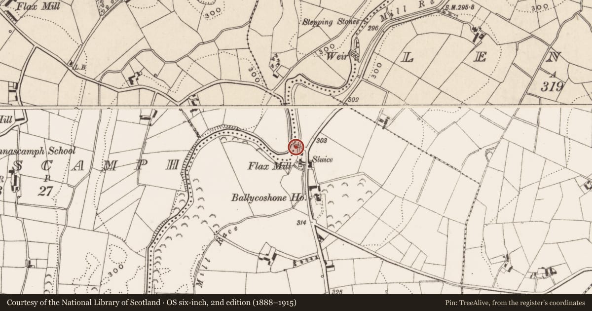 Ordnance Survey six-inch map, 2nd edition (1888–1915) covering the location of Bridge over River Bann, Ballycoshone Upper/Drumnascamph, Newry, Mourne and Down, with a pin at the register's coordinates