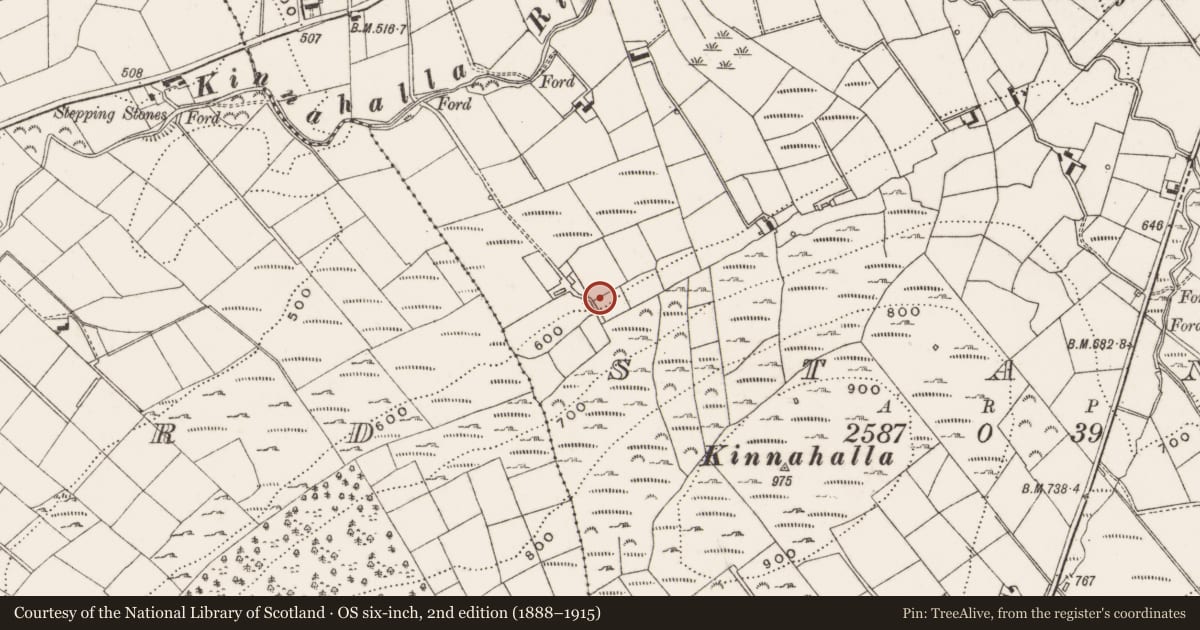 Ordnance Survey six-inch map, 2nd edition (1888–1915) covering the location of Lime kiln off Bryansford Rd, Stang, Newry, Mourne and Down, with a pin at the register's coordinates