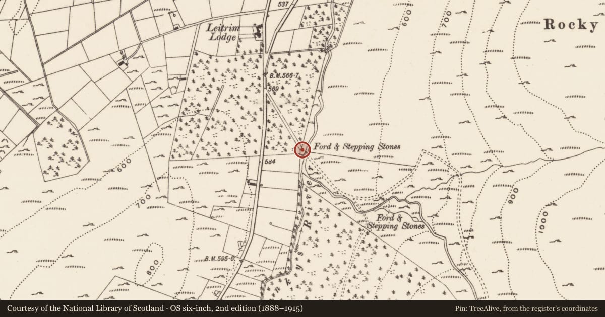 Ordnance Survey six-inch map, 2nd edition (1888–1915) covering the location of Bridge over Shankys River, Leitrim, Newry, Mourne and Down, with a pin at the register's coordinates