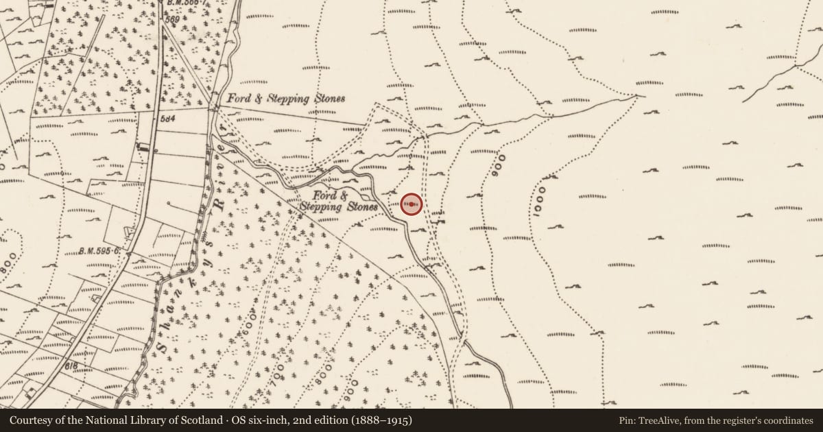 Ordnance Survey six-inch map, 2nd edition (1888–1915) covering the location of Reservoir off Sandbank Rd, Leitrim, Newry, Mourne and Down, with a pin at the register's coordinates