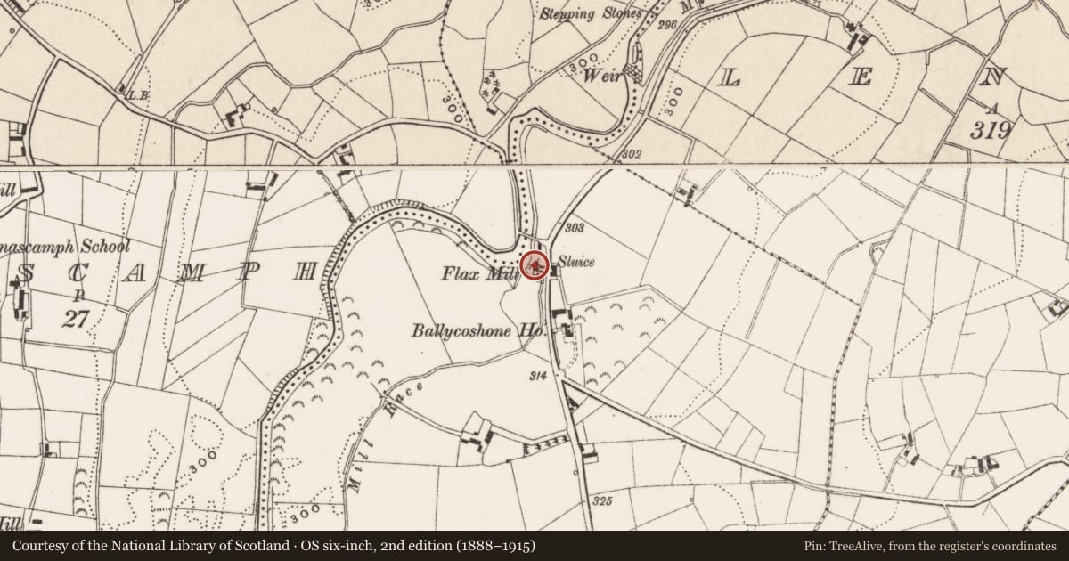 Ordnance Survey six-inch map, 2nd edition (1888–1915) covering the location of Disused Flax mill, Ballycoshone, Newry, Mourne and Down, with a pin at the register's coordinates