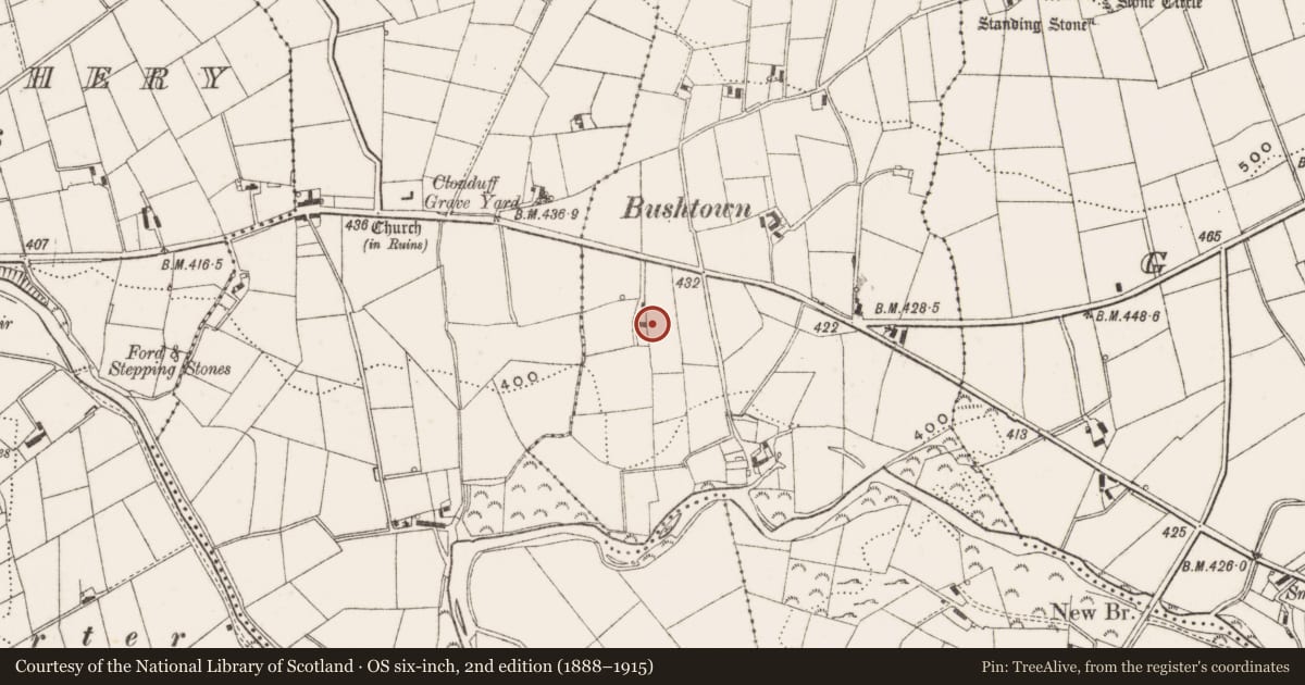 Ordnance Survey six-inch map, 2nd edition (1888–1915) covering the location of 29 Kilkeel Rd, Ballynanny, Newry, Mourne and Down, with a pin at the register's coordinates