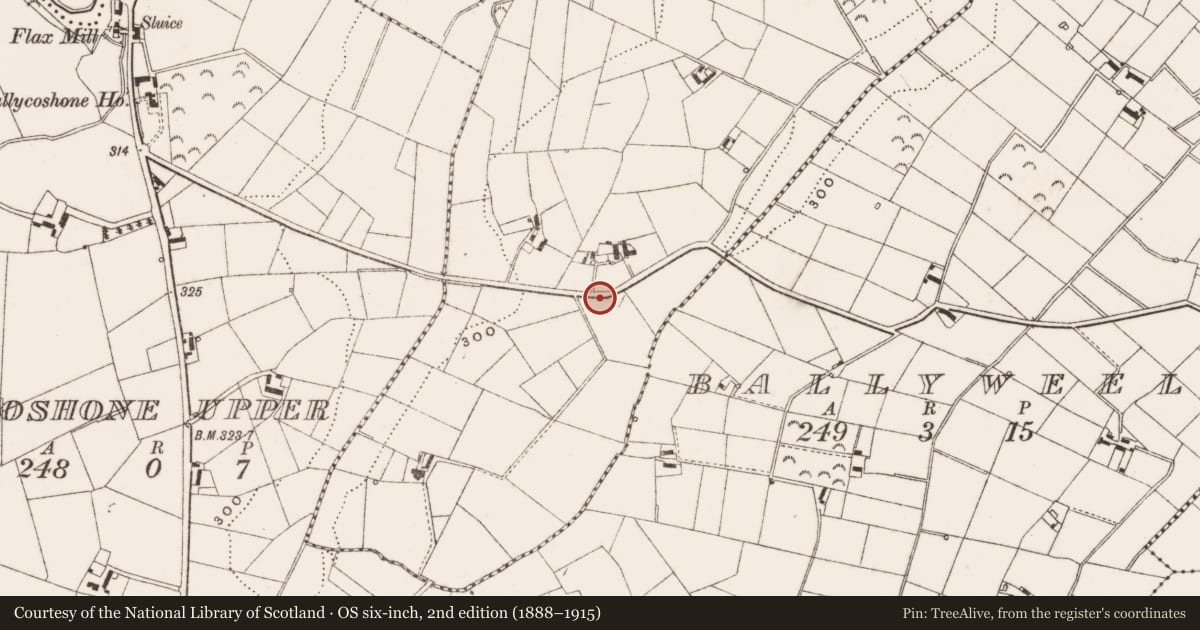 Ordnance Survey six-inch map, 2nd edition (1888–1915) covering the location of Marker stone on Ballyweely Rd, Lenish, Newry, Mourne and Down, with a pin at the register's coordinates