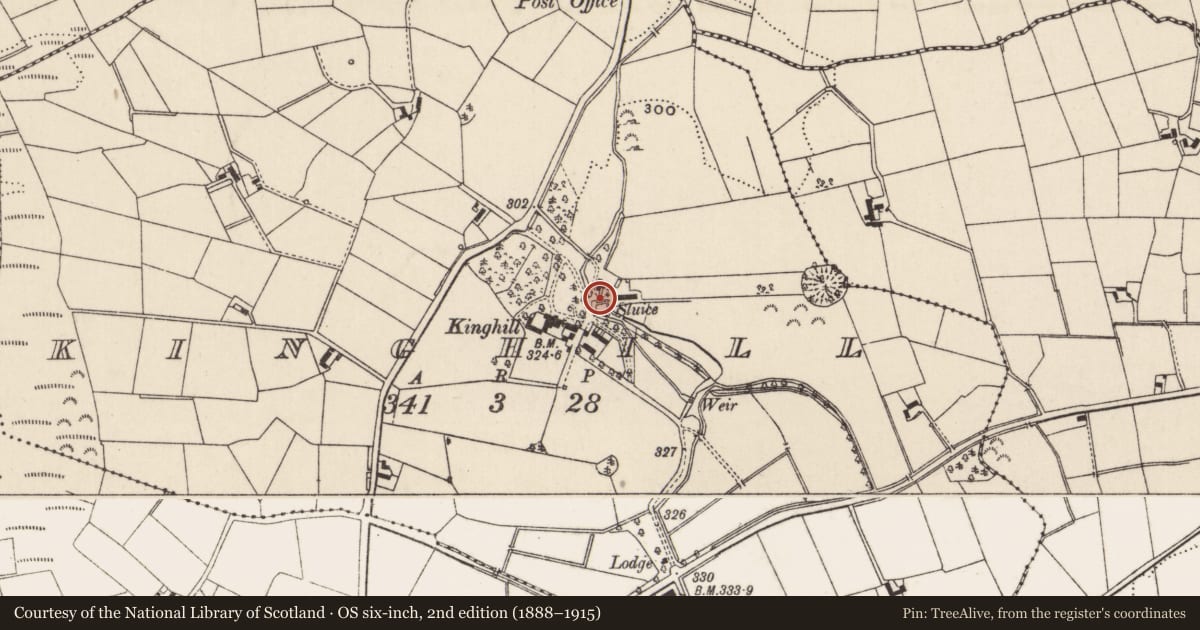 Ordnance Survey six-inch map, 2nd edition (1888–1915) covering the location of Disused corn mill at Kinghill, Newry, Mourne and Down, with a pin at the register's coordinates