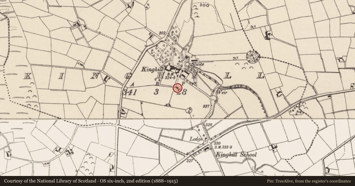 Ordnance Survey six-inch map, 2nd edition (1888–1915) covering the location of Disused lime kiln at Kinghill, Newry, Mourne and Down, with a pin at the register's coordinates
