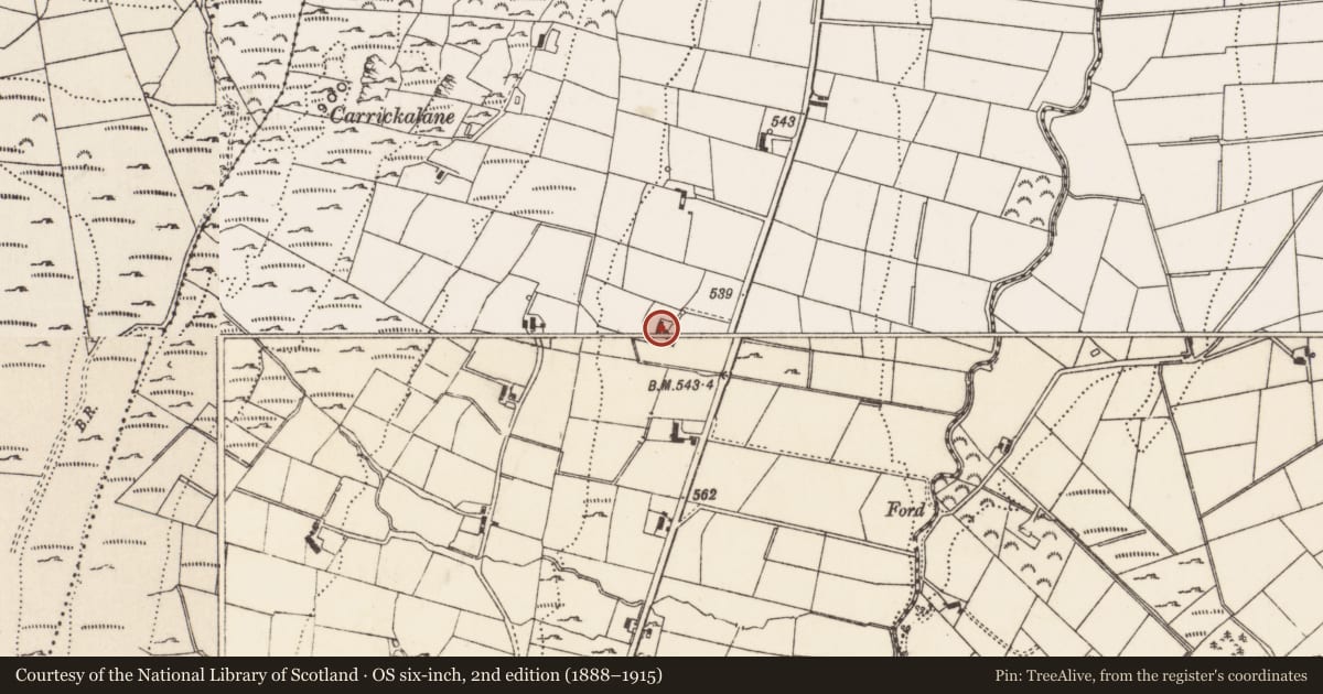 Ordnance Survey six-inch map, 2nd edition (1888–1915) covering the location of 119 Rostrevor Road, Carcullion, Newry, Mourne and Down, with a pin at the register's coordinates