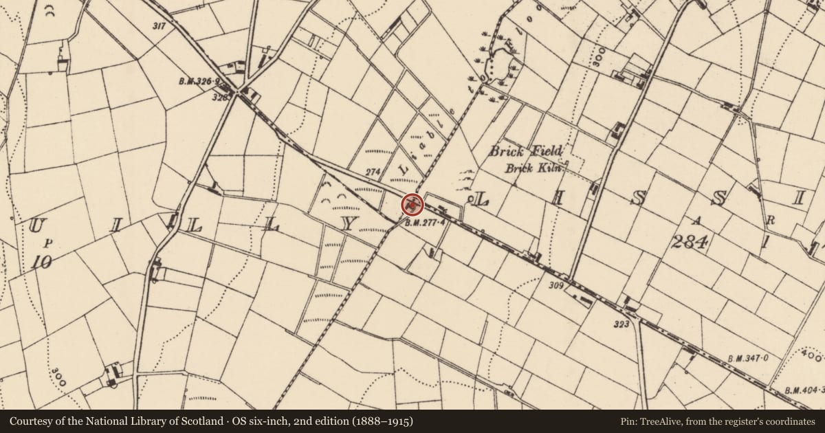 Ordnance Survey six-inch map, 2nd edition (1888–1915) covering the location of 40 Loughbrickland Road, Lissize, Armagh City, Banbridge and Craigavon, with a pin at the register's coordinates