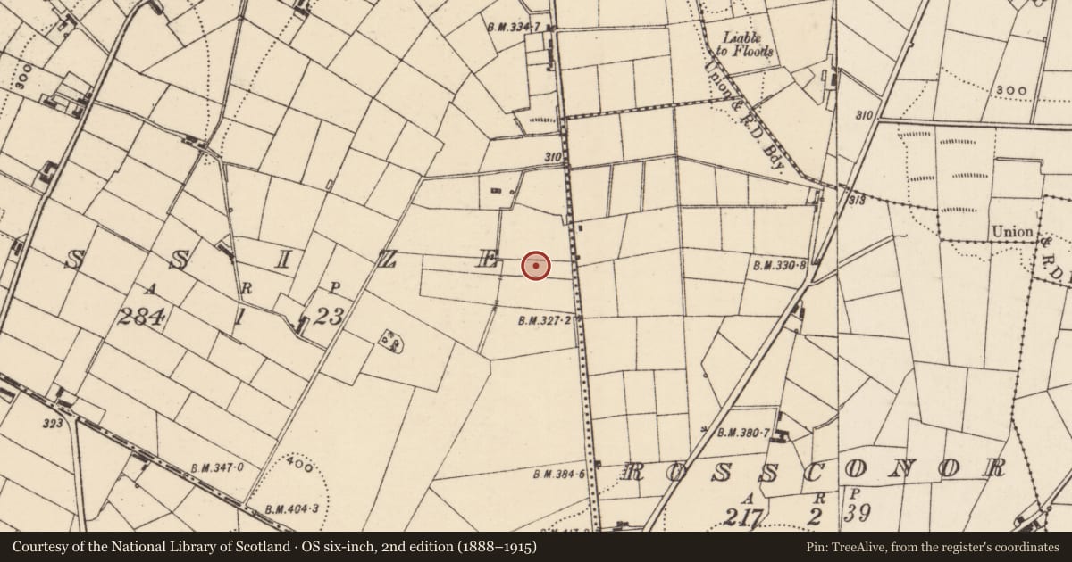 Ordnance Survey six-inch map, 2nd edition (1888–1915) covering the location of 8 Banbridge Road, Lissize, Armagh City, Banbridge and Craigavon, with a pin at the register's coordinates