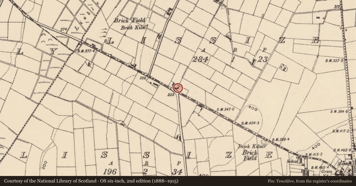 Ordnance Survey six-inch map, 2nd edition (1888–1915) covering the location of 33 Loughbrickland Road, Lissize, Armagh City, Banbridge and Craigavon, with a pin at the register's coordinates