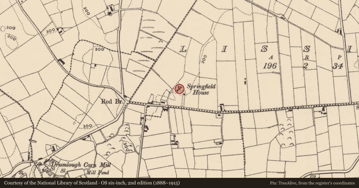Ordnance Survey six-inch map, 2nd edition (1888–1915) covering the location of Springfield House, Lissize, Armagh City, Banbridge and Craigavon, with a pin at the register's coordinates