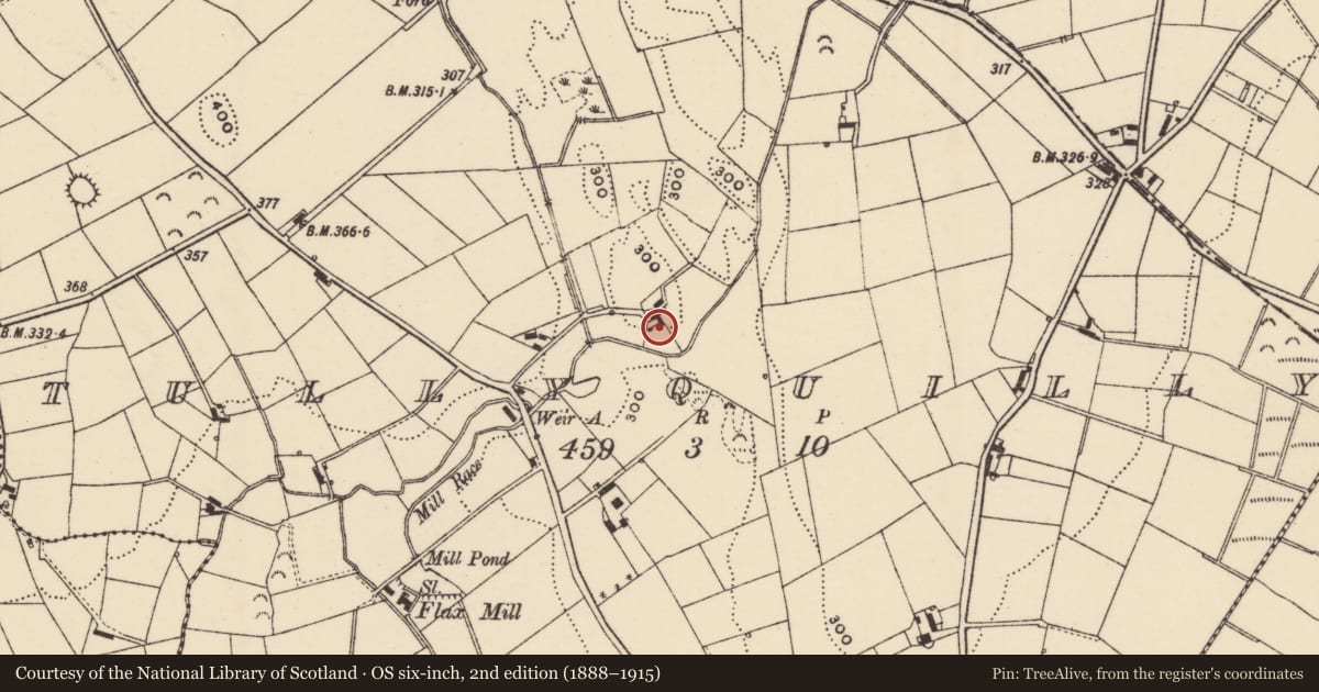 Ordnance Survey six-inch map, 2nd edition (1888–1915) covering the location of 48 Gransha Road, Tullyquilly, Newry, Mourne and Down, with a pin at the register's coordinates