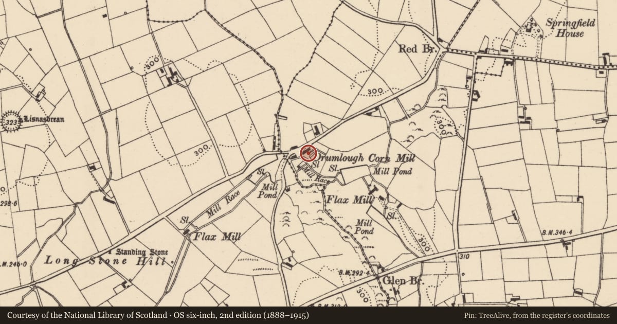 Ordnance Survey six-inch map, 2nd edition (1888–1915) covering the location of Drumlough Corn Mill, Newry, Mourne and Down, with a pin at the register's coordinates