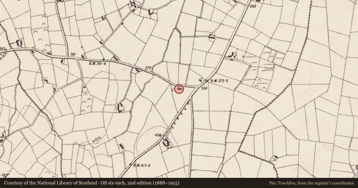 Ordnance Survey six-inch map, 2nd edition (1888–1915) covering the location of Site on Bog Road near junction of Cross Road, Ballygorian More, Newry, Mourne and Down, with a pin at the register's coordinates