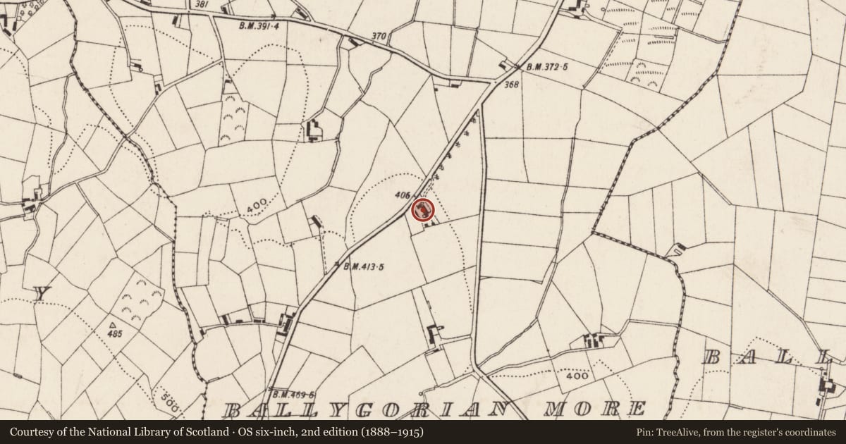 Ordnance Survey six-inch map, 2nd edition (1888–1915) covering the location of 17 Cross Road, Ballygorian More, Newry, Mourne and Down, with a pin at the register's coordinates
