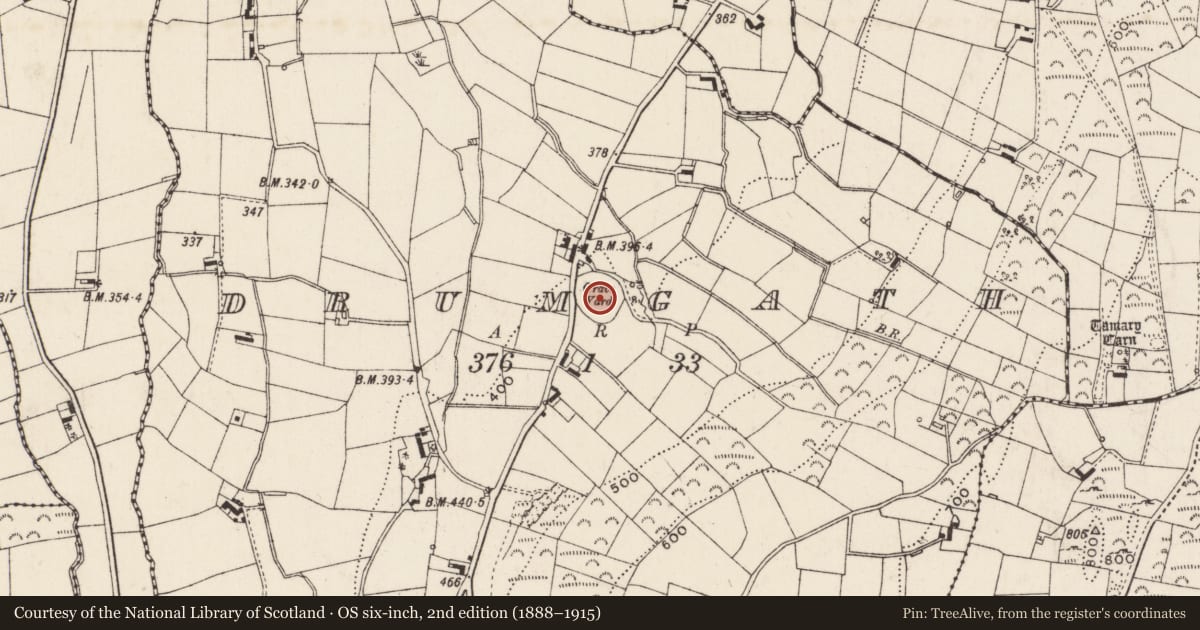 Ordnance Survey six-inch map, 2nd edition (1888–1915) covering the location of Graveyard, Drumgath, Newry, Mourne and Down, with a pin at the register's coordinates