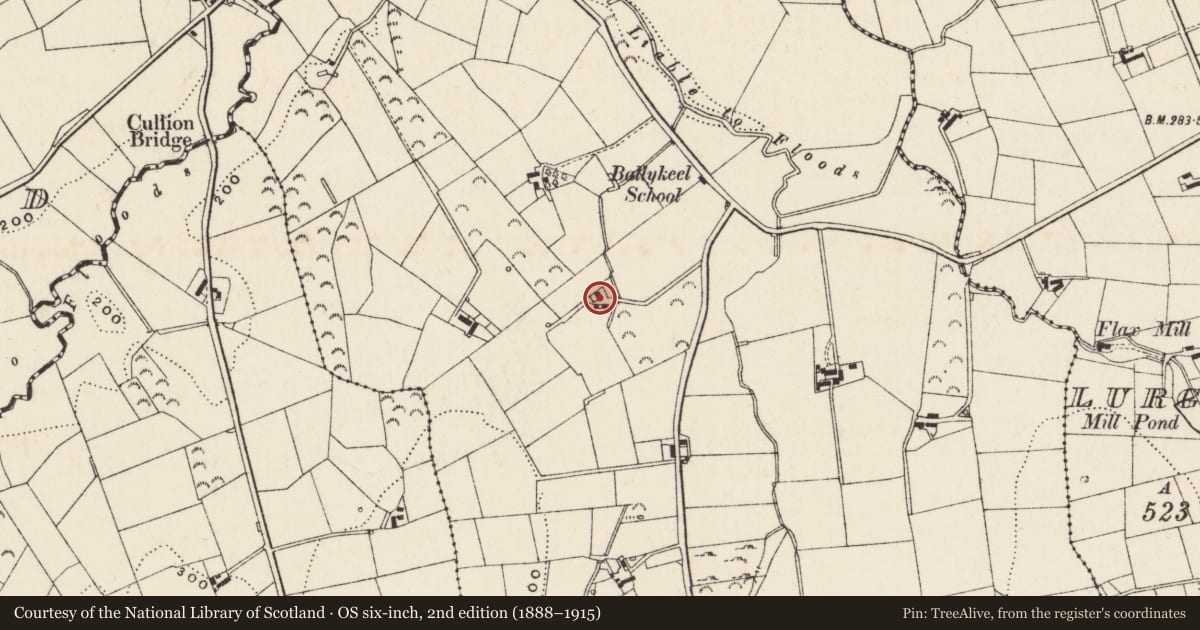 Ordnance Survey six-inch map, 2nd edition (1888–1915) covering the location of 21 Ballykeel Road, Newry, Mourne and Down, with a pin at the register's coordinates