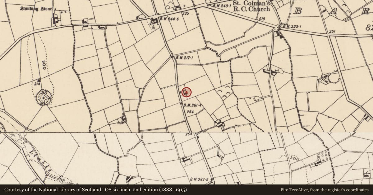 Ordnance Survey six-inch map, 2nd edition (1888–1915) covering the location of 10 Lurgancahone Road, Newry, Mourne and Down, with a pin at the register's coordinates