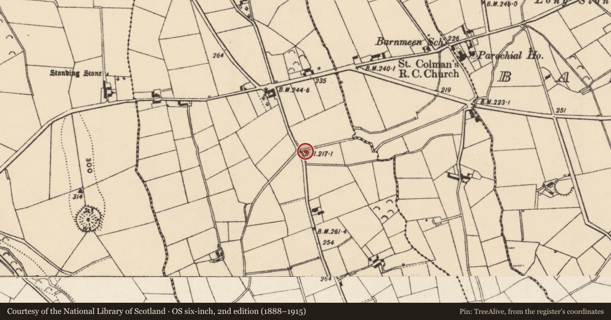 Ordnance Survey six-inch map, 2nd edition (1888–1915) covering the location of Bridge, Lurgancahone, Newry, Mourne and Down, with a pin at the register's coordinates