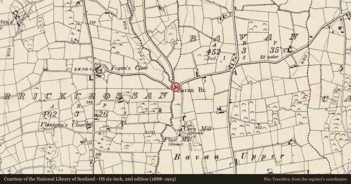 Ordnance Survey six-inch map, 2nd edition (1888–1915) covering the location of Bavan Bridge, Bavan/Carrickcrossan, Newry, Mourne and Down, with a pin at the register's coordinates