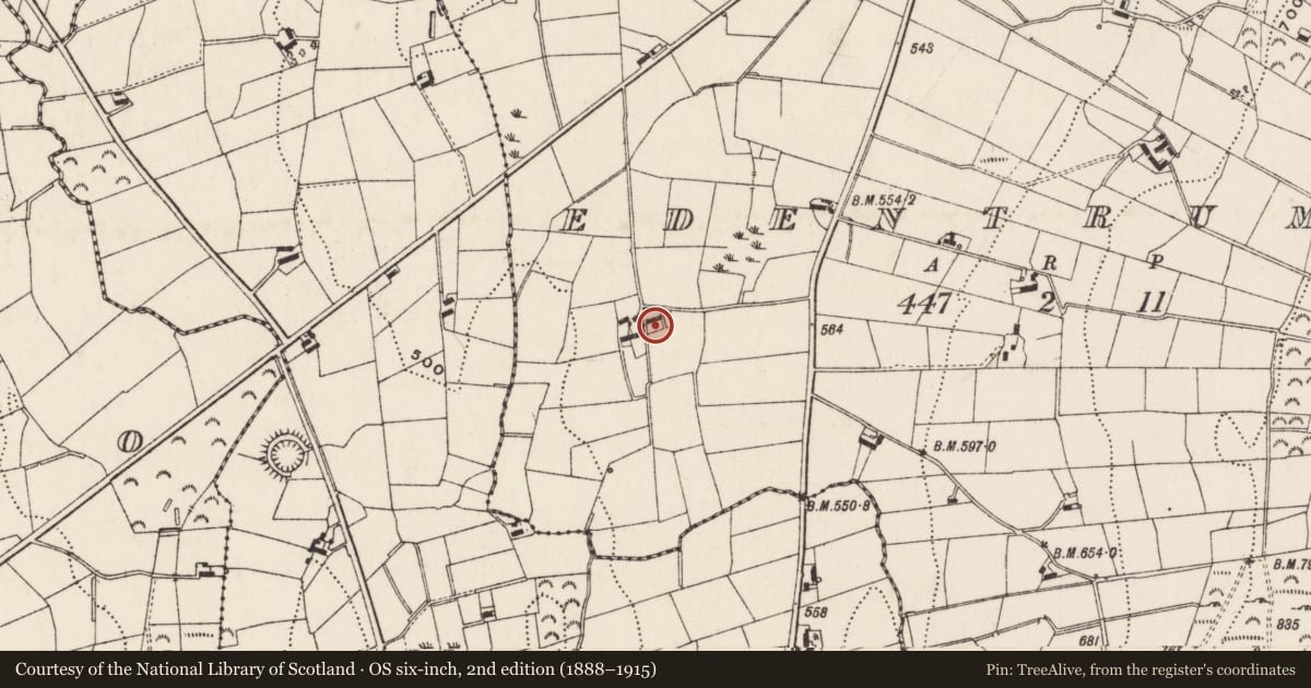 Ordnance Survey six-inch map, 2nd edition (1888–1915) covering the location of 15 Edentrumly Road, Newry, Mourne and Down, with a pin at the register's coordinates