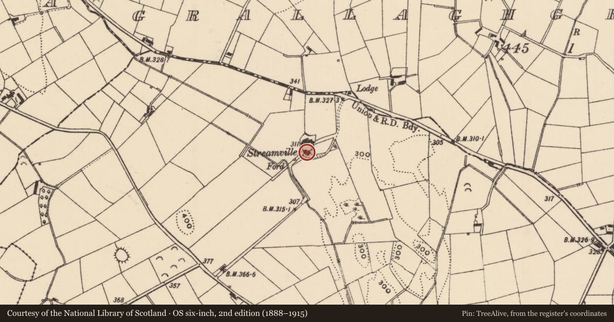 Ordnance Survey six-inch map, 2nd edition (1888–1915) covering the location of Streamville, Tullyquilly, Newry, Mourne and Down, with a pin at the register's coordinates