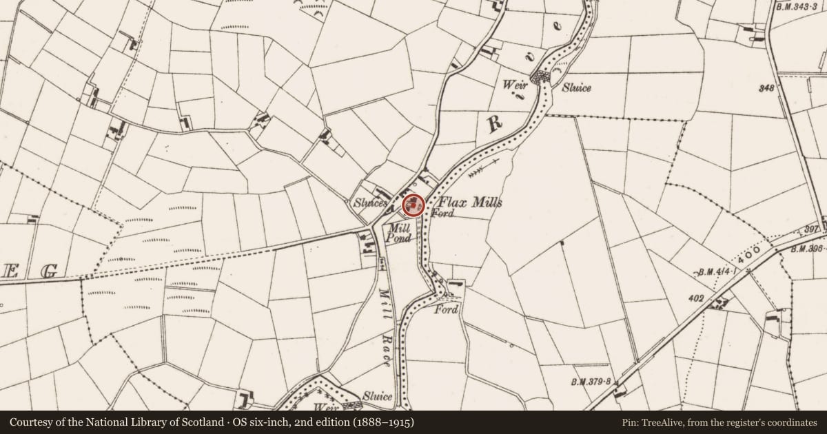 Ordnance Survey six-inch map, 2nd edition (1888–1915) covering the location of Former flax mill opp. 20 Mill Road, Lisnamulligan, Newry, Mourne and Down, with a pin at the register's coordinates