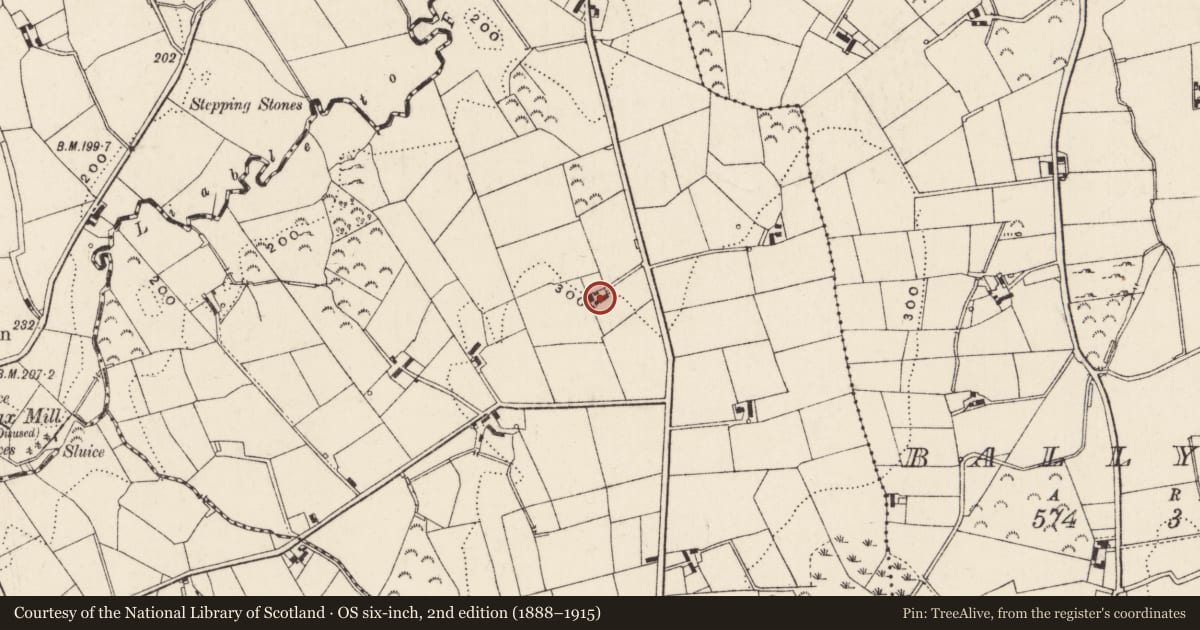 Ordnance Survey six-inch map, 2nd edition (1888–1915) covering the location of 9 Cullion Road, Newry, Mourne and Down, with a pin at the register's coordinates