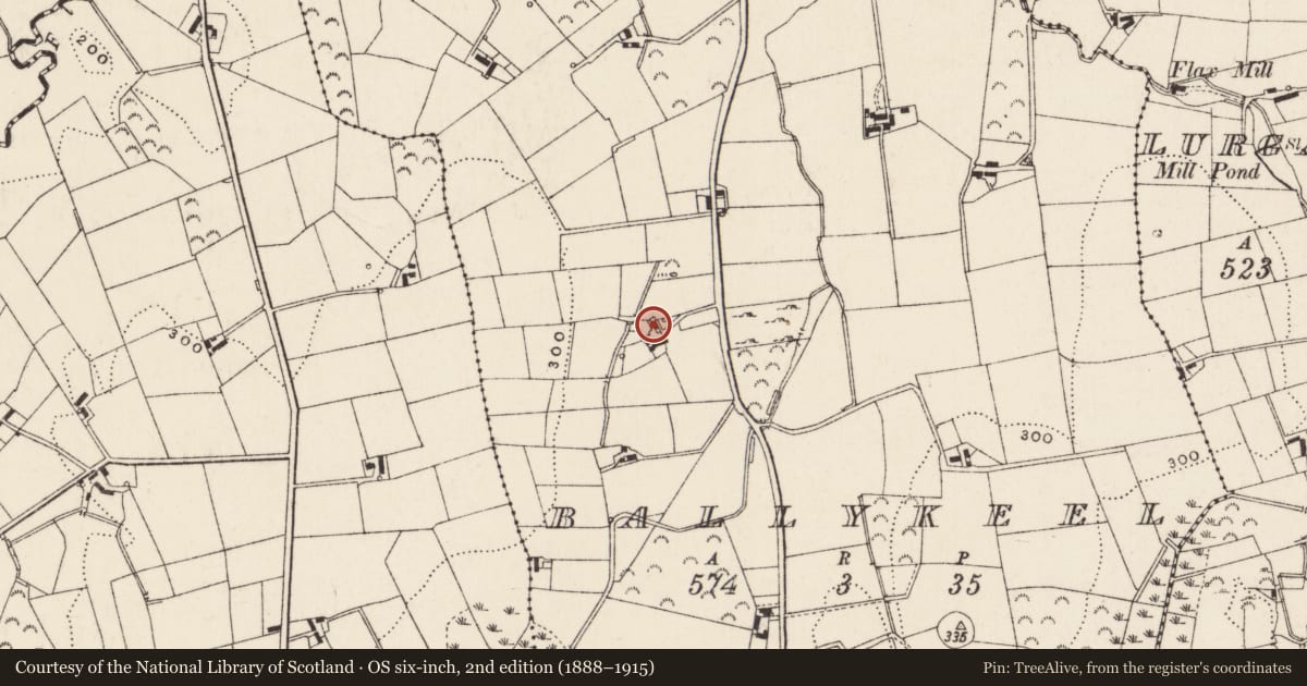 Ordnance Survey six-inch map, 2nd edition (1888–1915) covering the location of 27 Ballykeel Road, Newry, Mourne and Down, with a pin at the register's coordinates