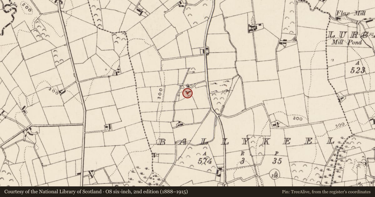 Ordnance Survey six-inch map, 2nd edition (1888–1915) covering the location of 29 Ballykeel Road, Newry, Mourne and Down, with a pin at the register's coordinates