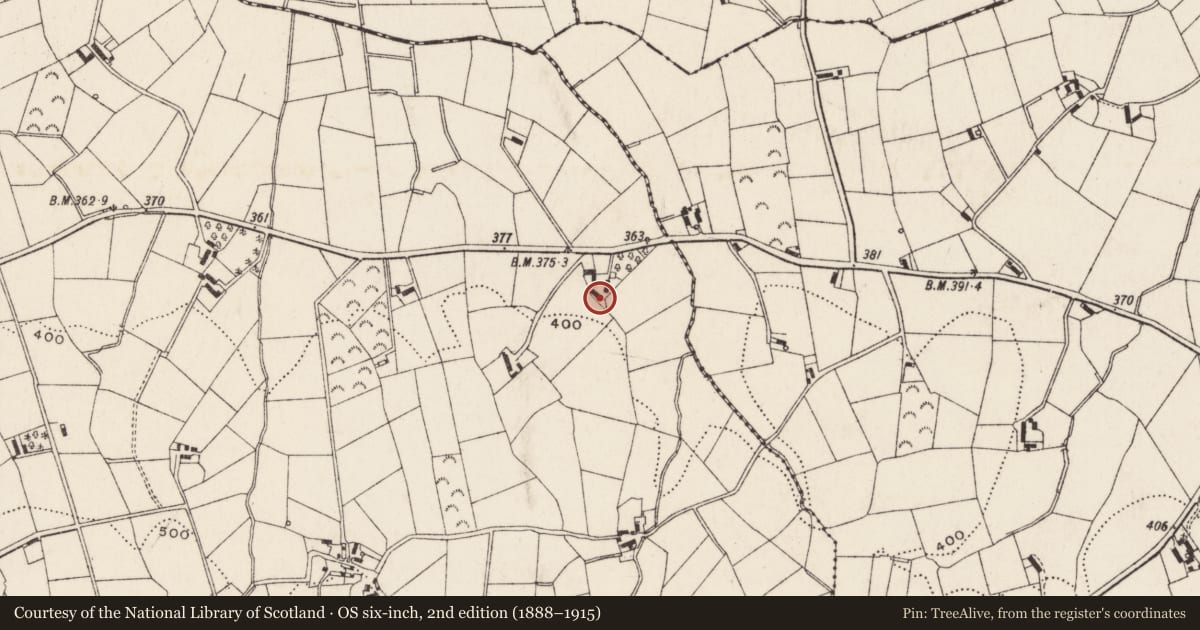 Ordnance Survey six-inch map, 2nd edition (1888–1915) covering the location of 25 Bog Road, Tamary, Newry, Mourne and Down, with a pin at the register's coordinates
