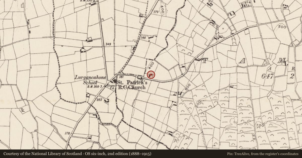 Ordnance Survey six-inch map, 2nd edition (1888–1915) covering the location of Outbuilding, Tamary, Newry, Mourne and Down, with a pin at the register's coordinates