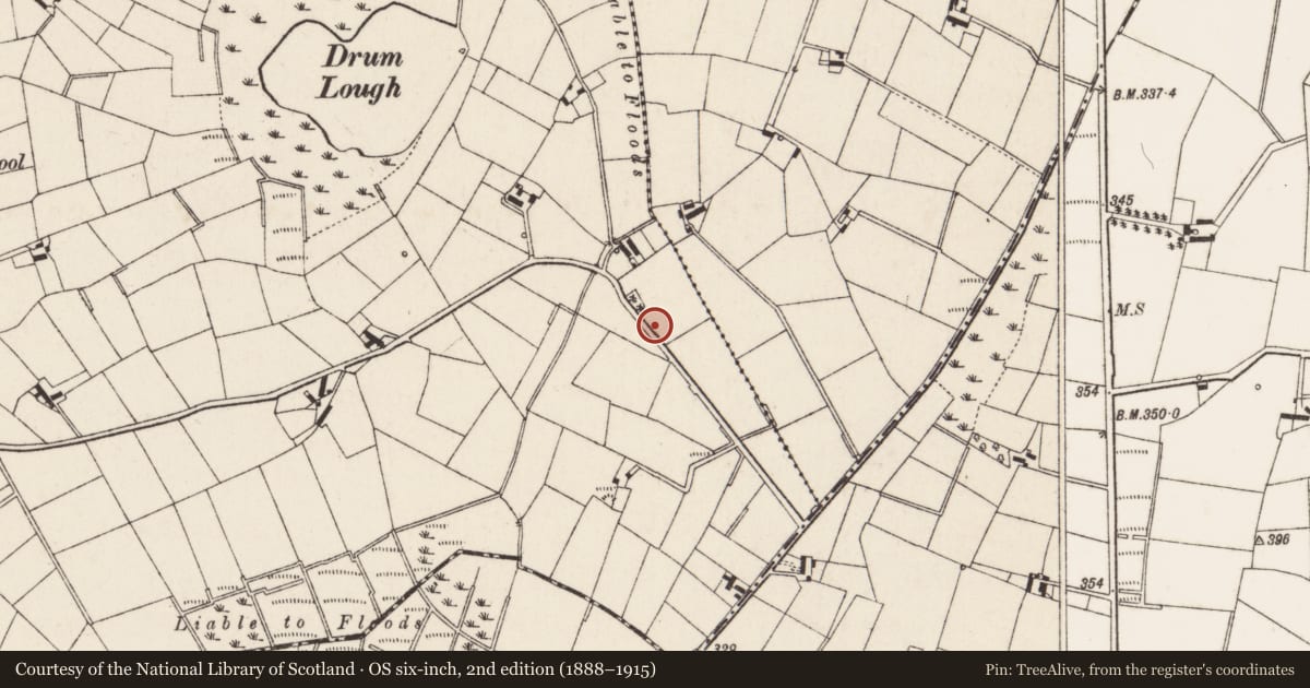 Ordnance Survey six-inch map, 2nd edition (1888–1915) covering the location of Former mill complex, Drumlough, Newry, Mourne and Down, with a pin at the register's coordinates