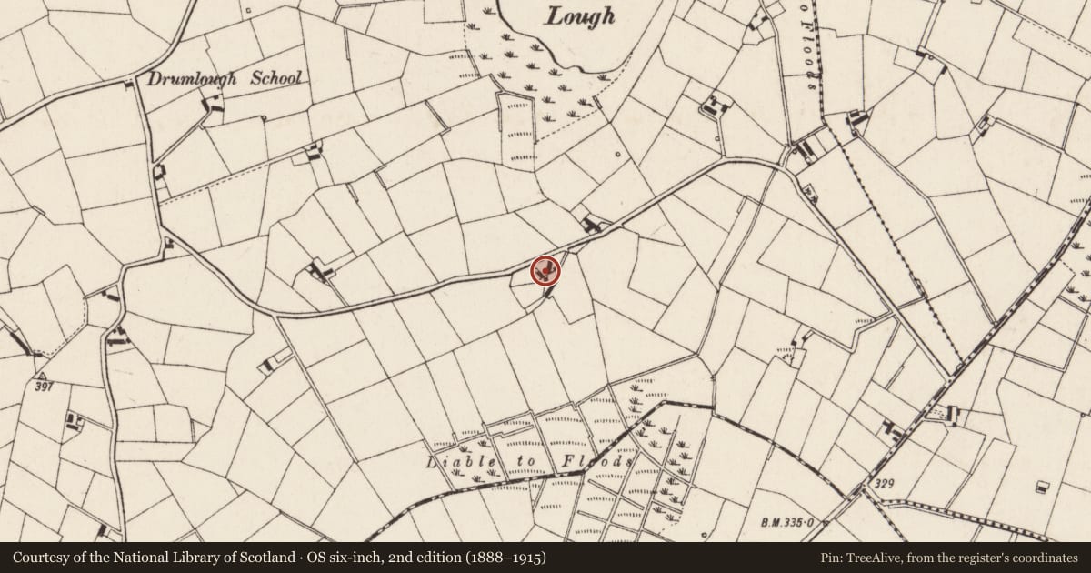 Ordnance Survey six-inch map, 2nd edition (1888–1915) covering the location of 17 Drumlough School Road, Newry, Mourne and Down, with a pin at the register's coordinates