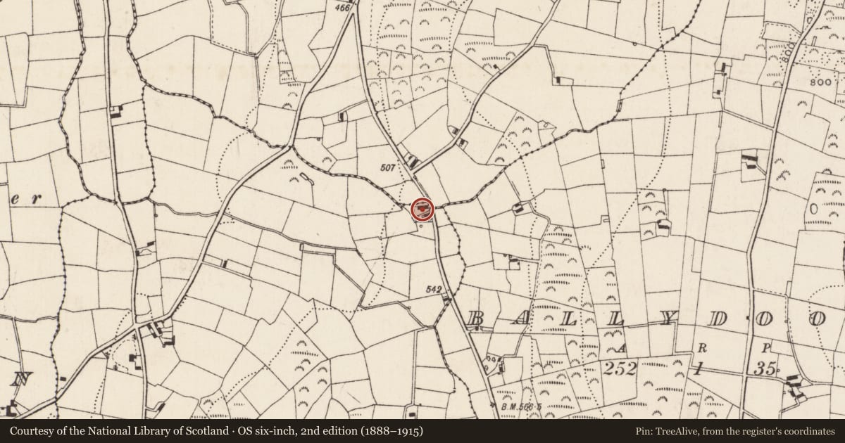 Ordnance Survey six-inch map, 2nd edition (1888–1915) covering the location of 22 Ballydoo Road, Carnany, Newry, Mourne and Down, with a pin at the register's coordinates
