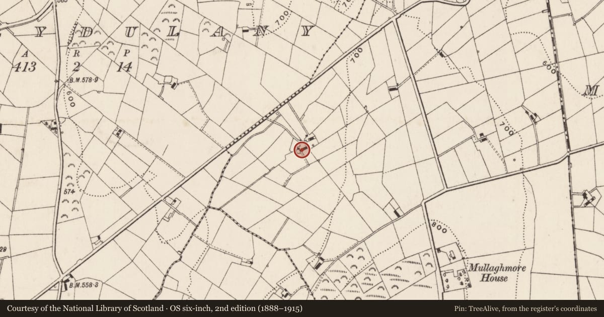 Ordnance Survey six-inch map, 2nd edition (1888–1915) covering the location of 24 Carmeen Road, Newry, Mourne and Down, with a pin at the register's coordinates
