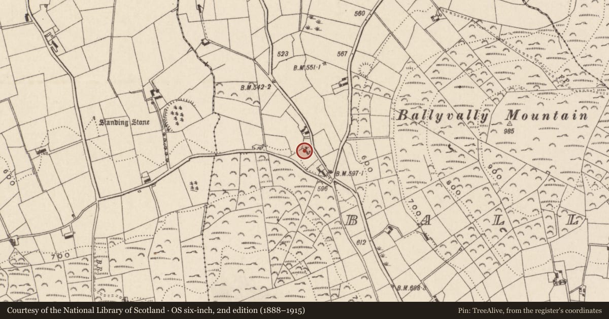 Ordnance Survey six-inch map, 2nd edition (1888–1915) covering the location of 49 Ballyvally Road, Newry, Mourne and Down, with a pin at the register's coordinates