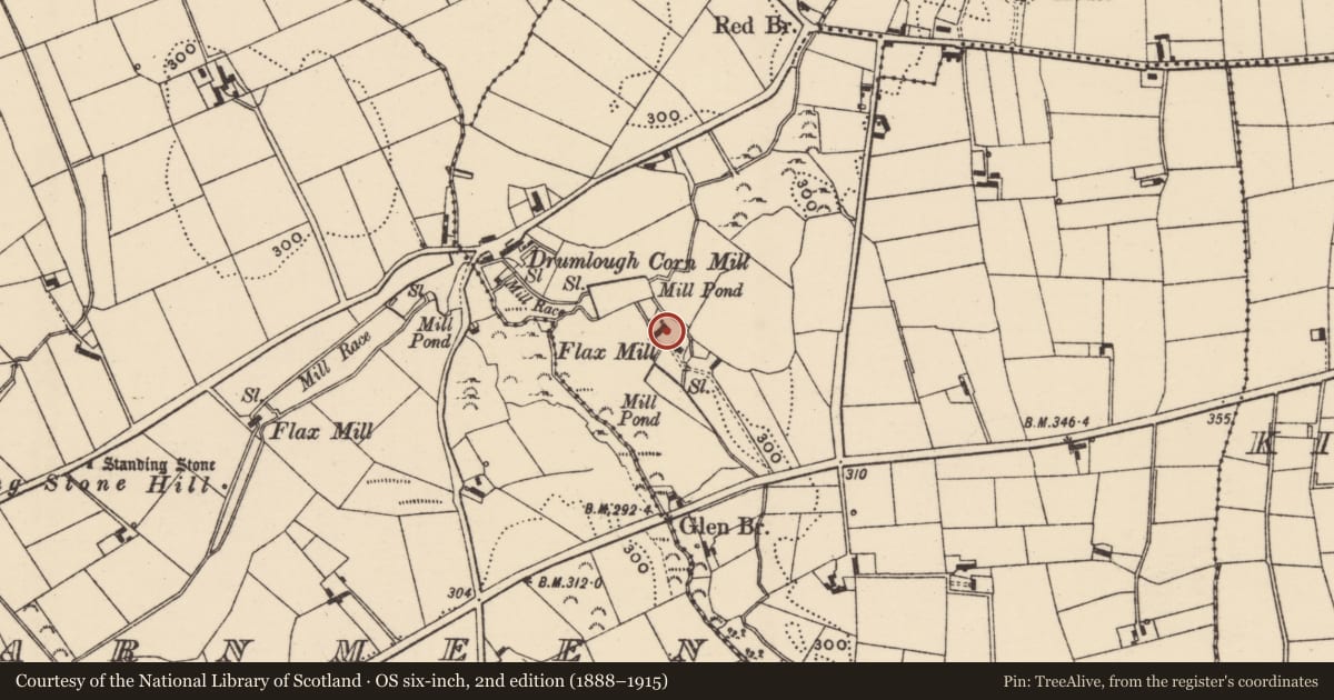 Ordnance Survey six-inch map, 2nd edition (1888–1915) covering the location of Former flax mill, Tullyquilly, Newry, Mourne and Down, with a pin at the register's coordinates