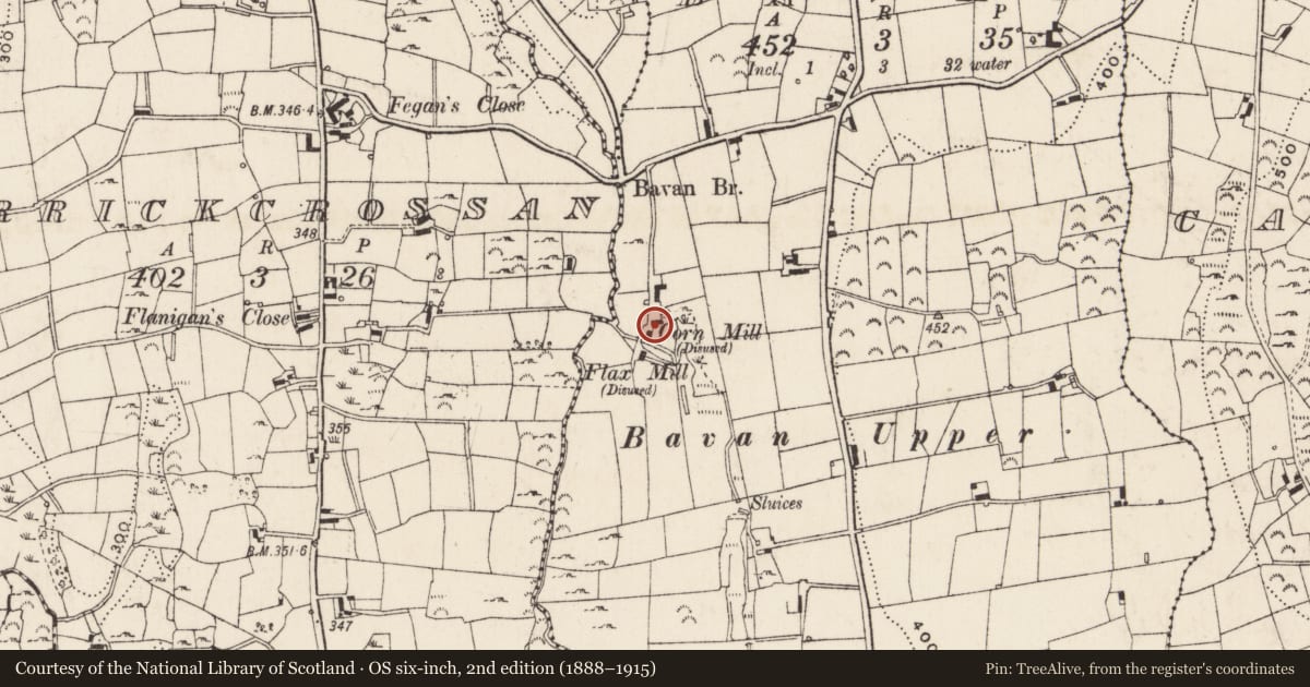 Ordnance Survey six-inch map, 2nd edition (1888–1915) covering the location of Former Corn Mill, Bavan, Newry, Mourne and Down, with a pin at the register's coordinates