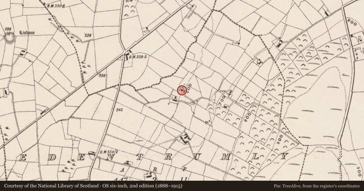 Ordnance Survey six-inch map, 2nd edition (1888–1915) covering the location of 4 Edentrumly Rd, Newry, Mourne and Down, with a pin at the register's coordinates