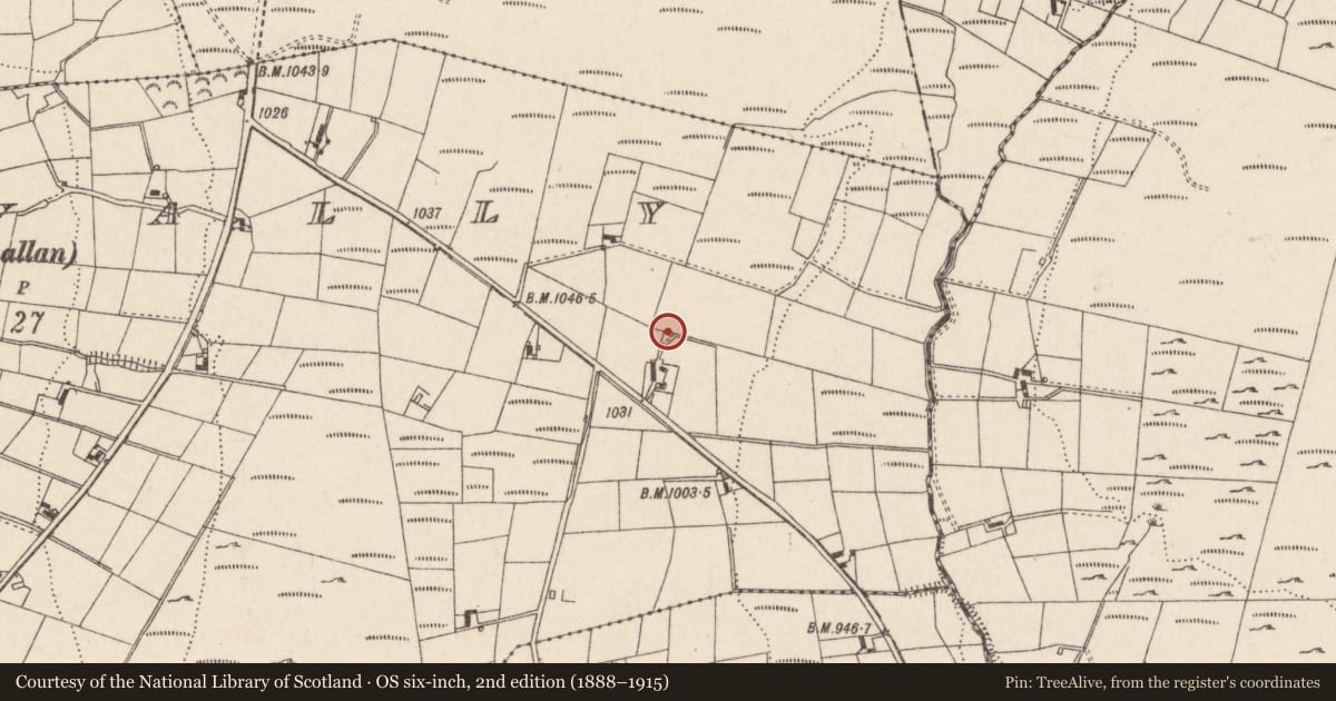 Ordnance Survey six-inch map, 2nd edition (1888–1915) covering the location of Former lime kiln, Ballyvally, Newry, Mourne and Down, with a pin at the register's coordinates