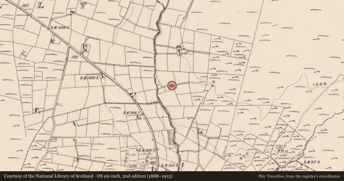 Ordnance Survey six-inch map, 2nd edition (1888–1915) covering the location of House off Lower Knockbarragh Rd, Cleomack, Newry, Mourne and Down, with a pin at the register's coordinates